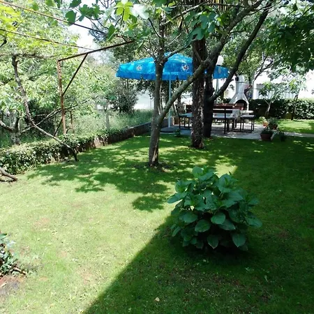 In With Seaview, Terrace, Air Condition, Wifi Apartment Malinska